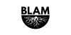 BLAM: Black Learning, Achievement and Mental Health